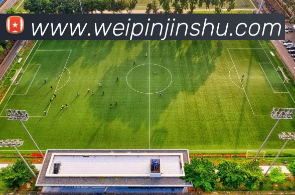 多媒体互动体验